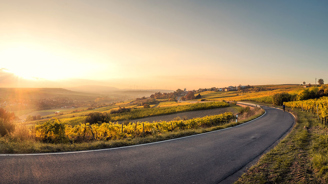 Scenic road through vineyards at sunset