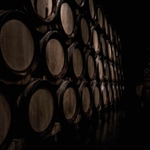 Wine barrels in dark cellar